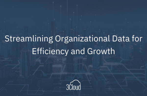 Streamlining Organizational Data for Efficiency and Growth